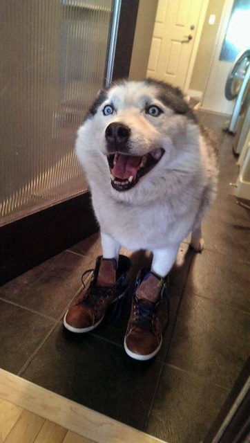 Acid Picdump (97 pics)