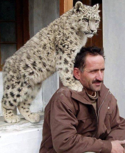Acid Picdump (97 pics)
