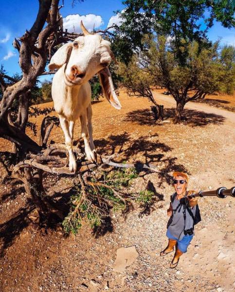 Acid Picdump (97 pics)
