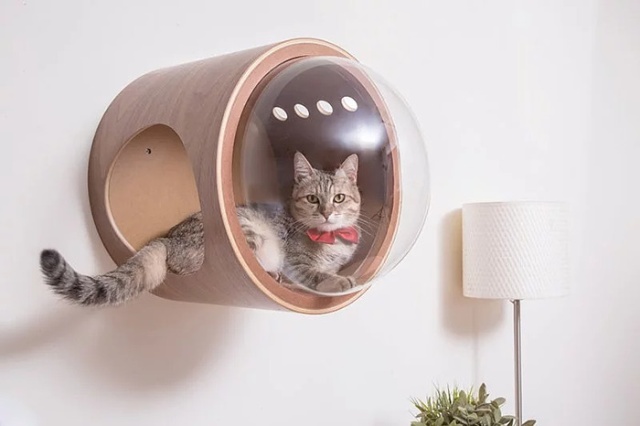 Spaceship-Inspired Cat Beds That Cost $97 (16 pics)