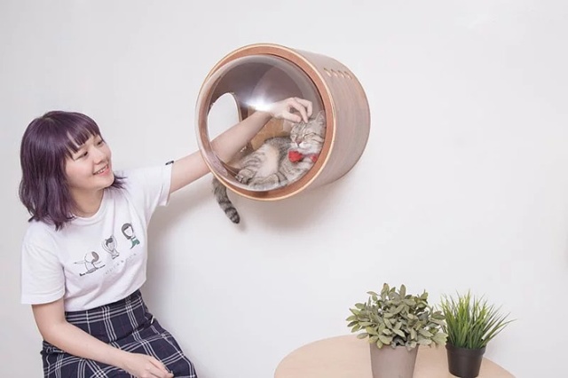 Spaceship-Inspired Cat Beds That Cost $97 (16 pics)