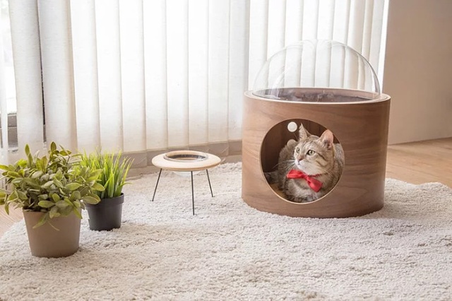 Spaceship-Inspired Cat Beds That Cost $97 (16 pics)