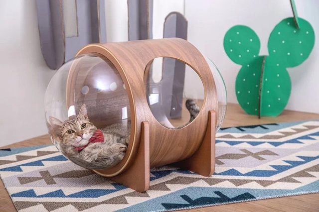 Spaceship-Inspired Cat Beds That Cost $97 (16 pics)