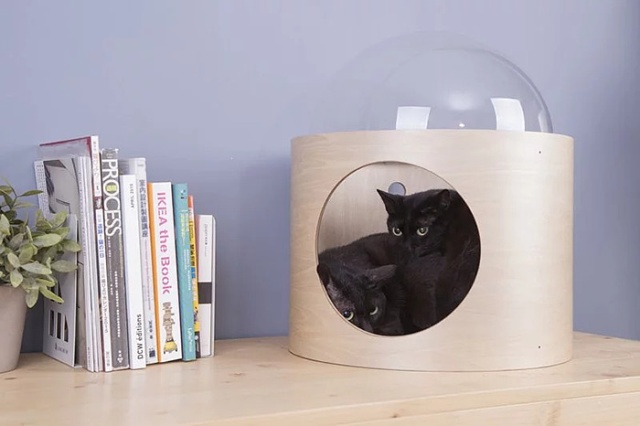 Spaceship-Inspired Cat Beds That Cost $97 (16 pics)