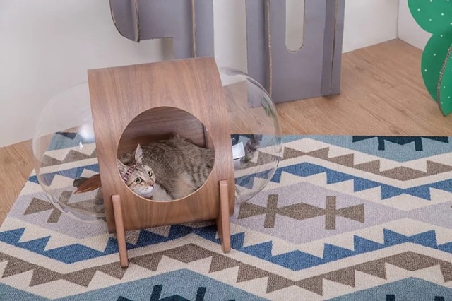 Spaceship-Inspired Cat Beds That Cost $97 (16 pics)