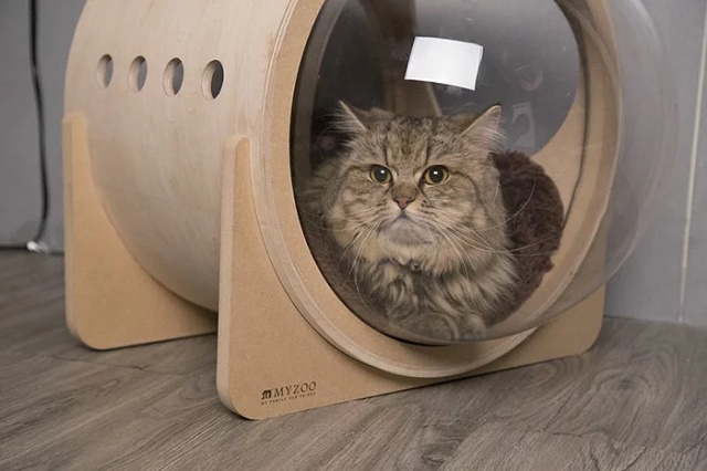 Spaceship-Inspired Cat Beds That Cost $97 (16 pics)