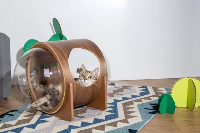 Spaceship-Inspired Cat Beds That Cost $97 (16 pics)