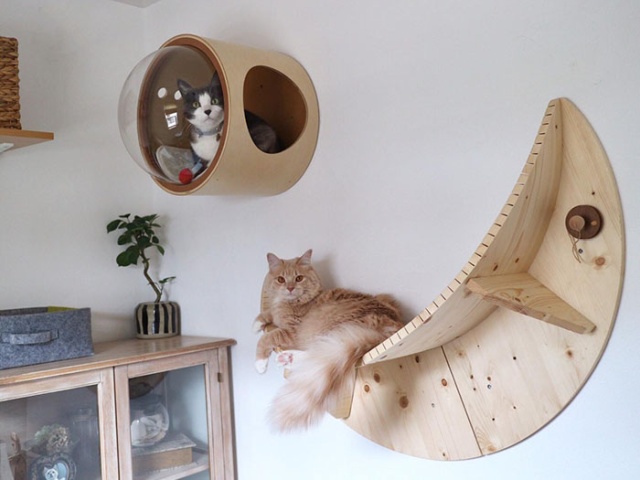 Spaceship-Inspired Cat Beds That Cost $97 (16 pics)