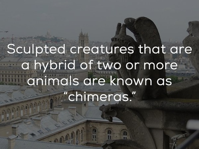 Facts About Stone Monsters Perched On Old Buildings (21 pics)