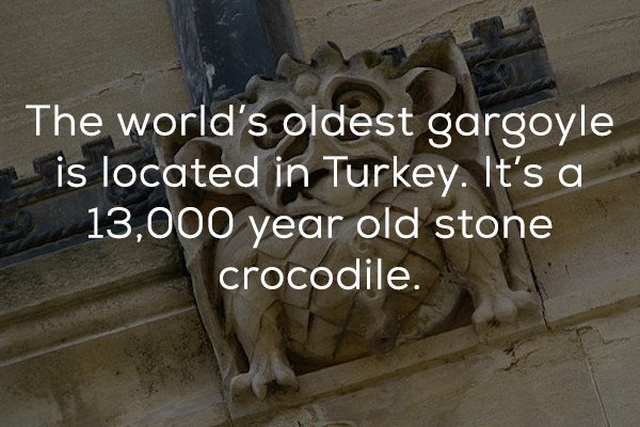 Facts About Stone Monsters Perched On Old Buildings (21 pics)
