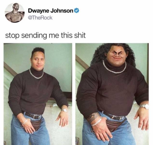 Dwayne Johnson Memes (19 pics)