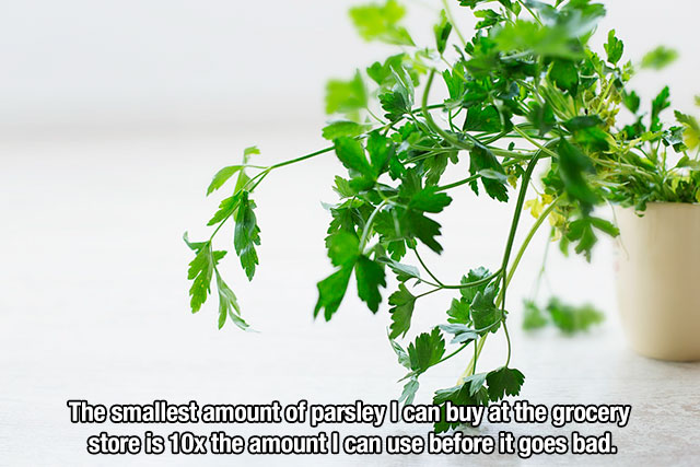 First World Problems (15 pics)