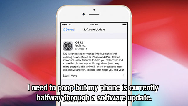 First World Problems (15 pics)