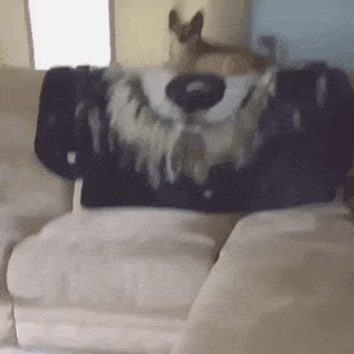 Acid Gifdump, October 09, 2018 (25 gifs)