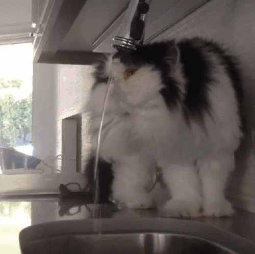 Acid Gifdump, October 09, 2018 (25 gifs)