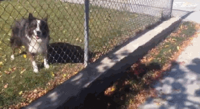 Acid Gifdump, October 09, 2018 (25 gifs)