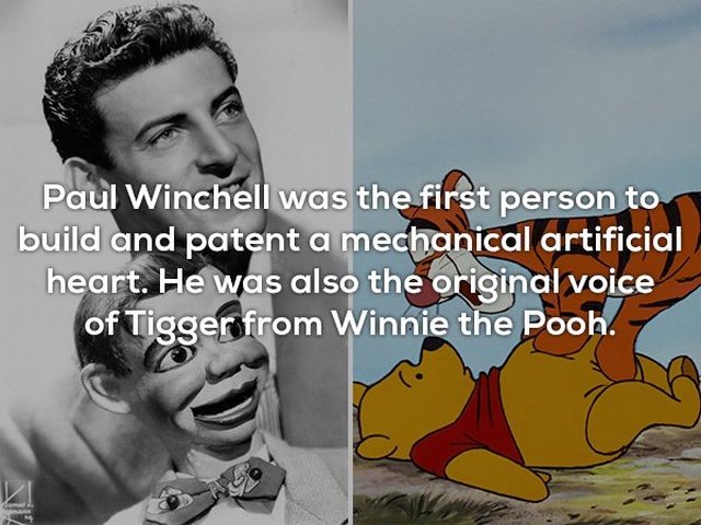 Interesting Facts (25 pics)