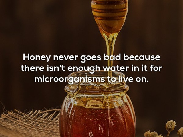 Interesting Facts (25 pics)