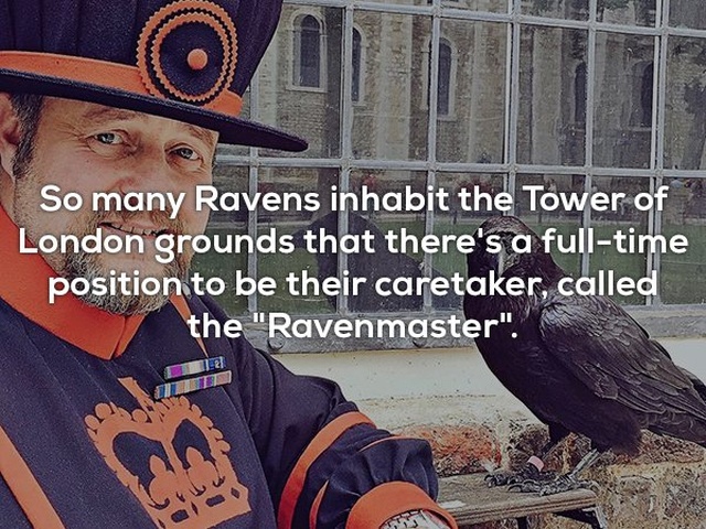 Interesting Facts (25 pics)