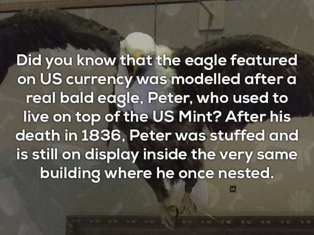Interesting Facts (25 pics)