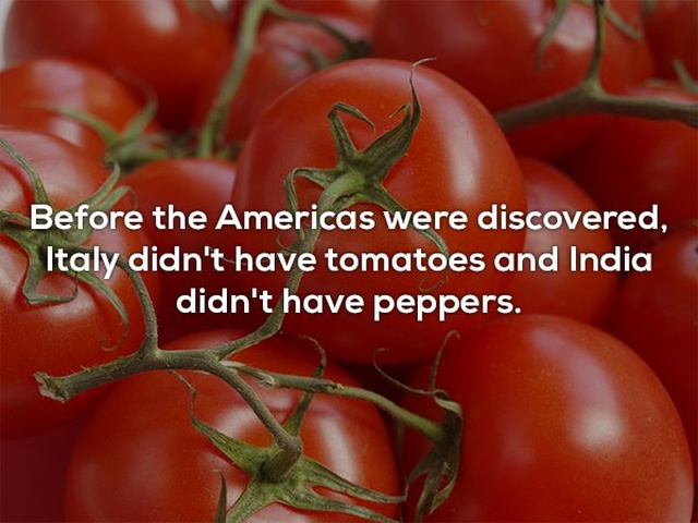 Interesting Facts (25 pics)