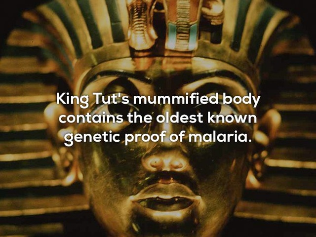 Interesting Facts (25 pics)