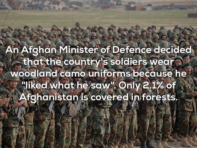 Interesting Facts (25 pics)