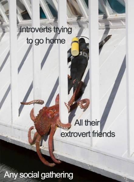 Introvert Memes (37 pics)
