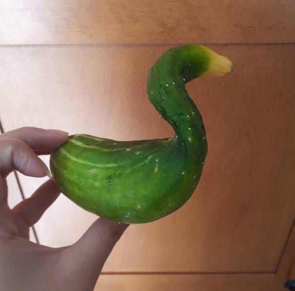 These Photos Look Strange But Interesting (32 pics)