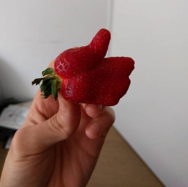 These Photos Look Strange But Interesting (32 pics)