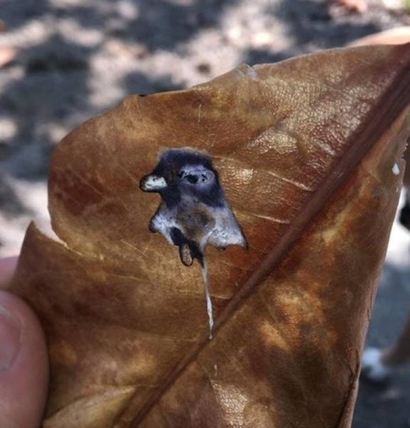 These Photos Look Strange But Interesting (32 pics)