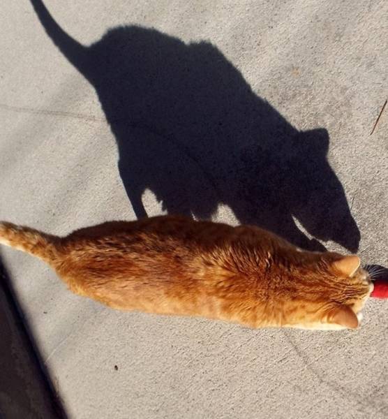 These Photos Look Strange But Interesting (32 pics)