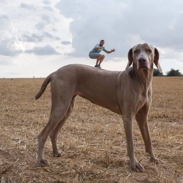 These Photos Look Strange But Interesting (32 pics)