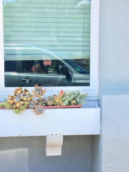 These Photos Look Strange But Interesting (32 pics)