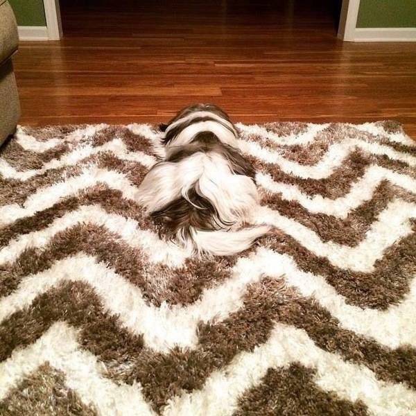 These Photos Look Strange But Interesting (32 pics)