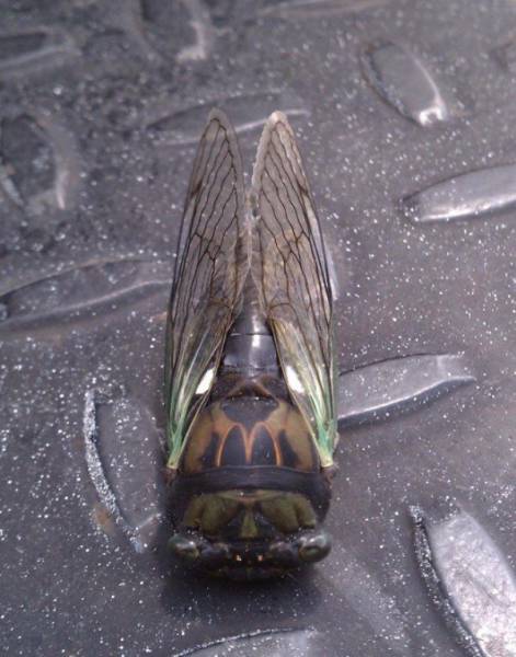 These Photos Look Strange But Interesting (32 pics)