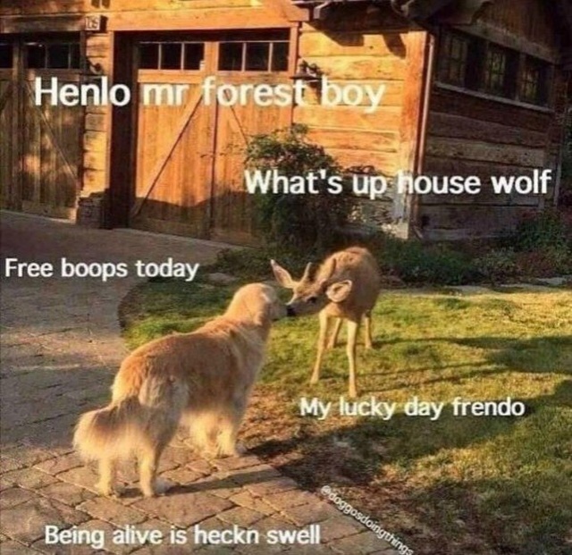 Wholesome Memes (30 pics)