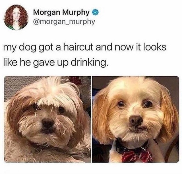 Wholesome Memes (30 pics)