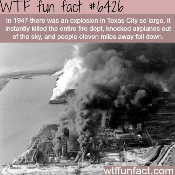 Collection Of Interesting Facts (38 pics)