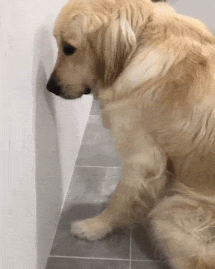 Acid Gifdump, October 11, 2018 (25 gifs)
