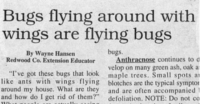 WTF Headlines (38 pics)