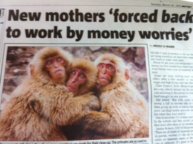 WTF Headlines (38 pics)