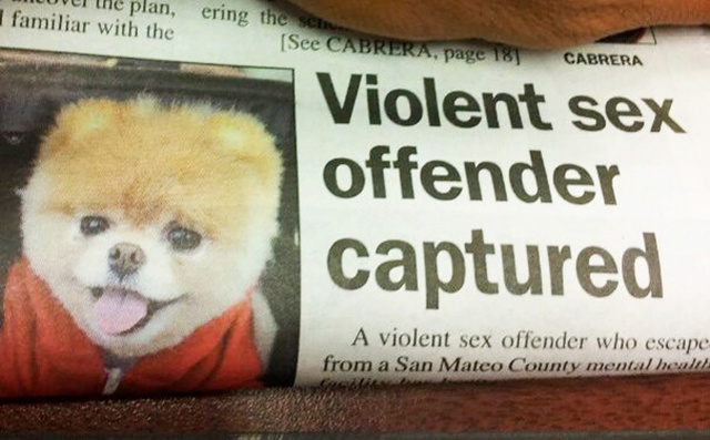 WTF Headlines (38 pics)