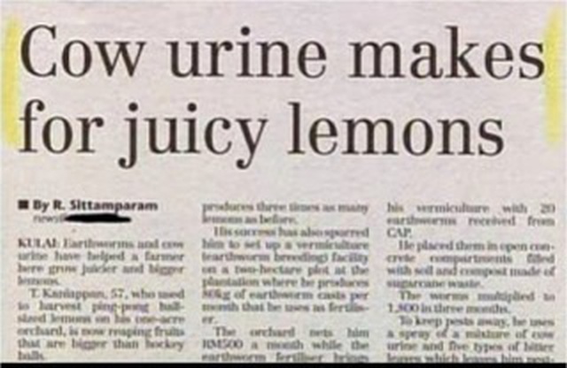 WTF Headlines (38 pics)