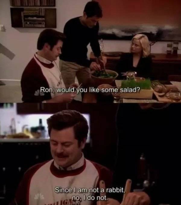 “Parks And Recreation” Memes (36 pics)