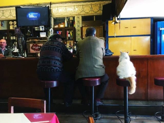 Acid Picdump (94 pics)