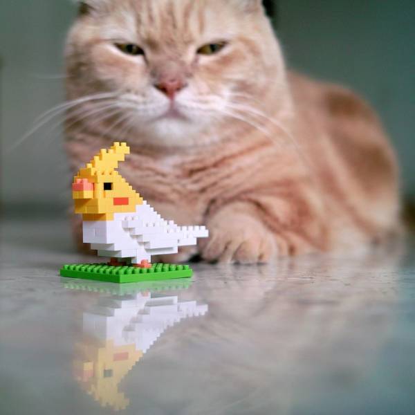 Acid Picdump (94 pics)