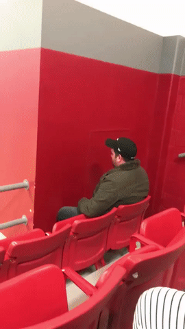 Acid Gifdump, October 12, 2018 (25 gifs)