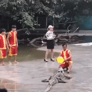 Acid Gifdump, October 12, 2018 (25 gifs)