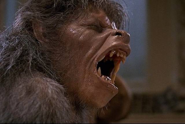 The Most Successful Horror Movies From The 80’s (25 pics) The Most Successful Horror Movies From The 80’s (25 pics)